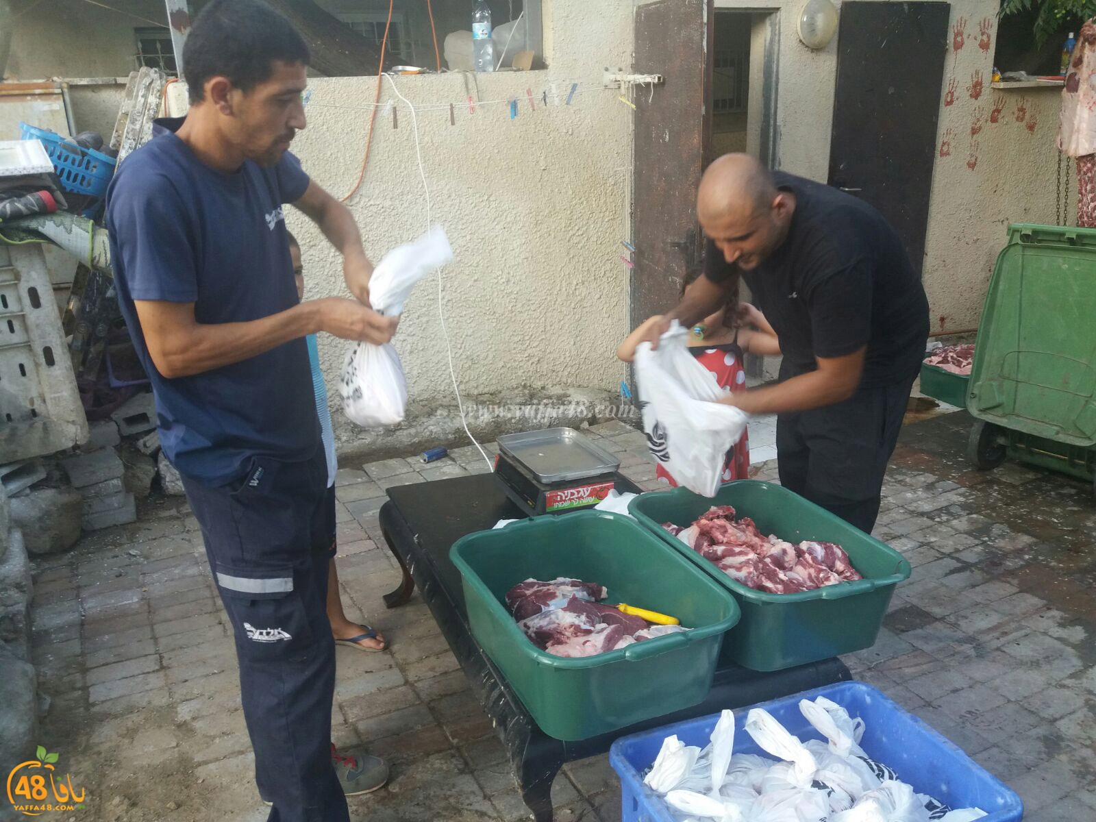 3jel jam3iya yaffa (1).jpg